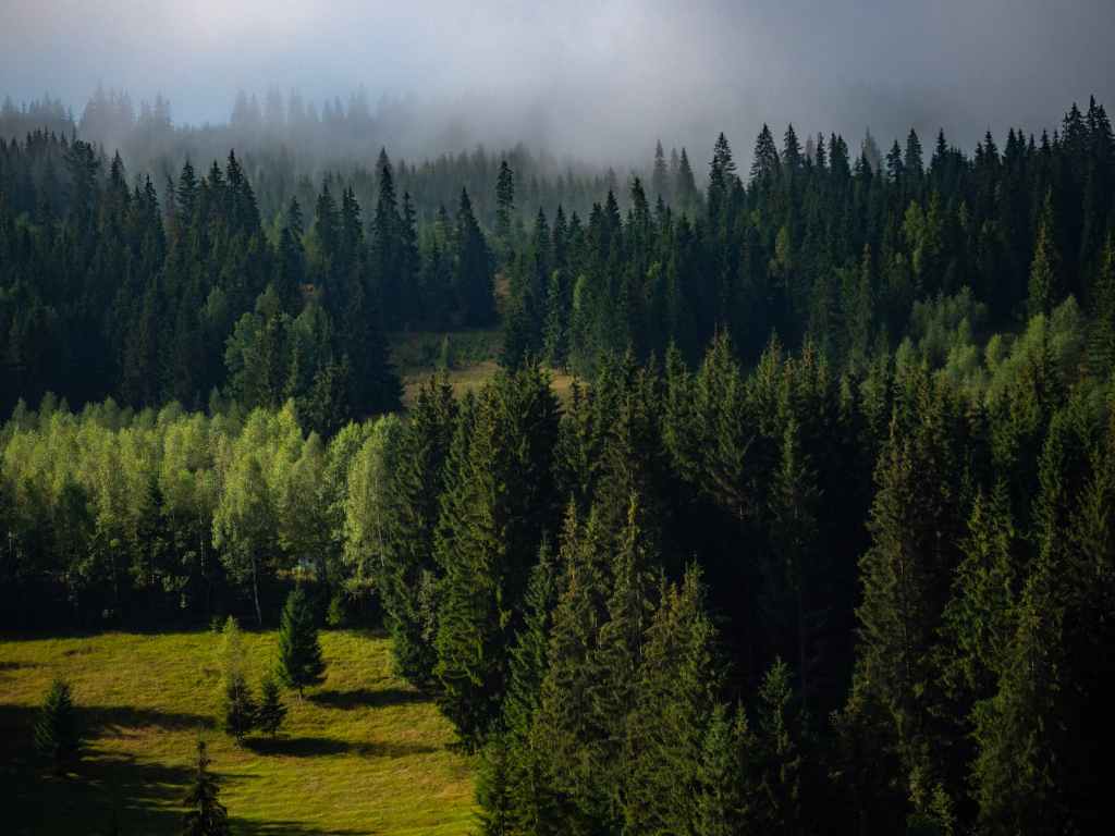 Bucovina (Suceava county) – Dracula’s Recommendations for an Amazing experience (Part&nbsp;2)