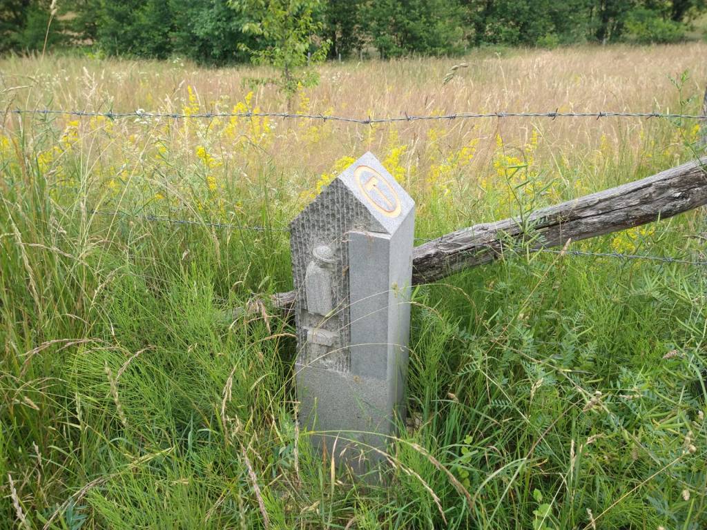 Largest Sculpture exhibit in the world!&nbsp;(possibly)