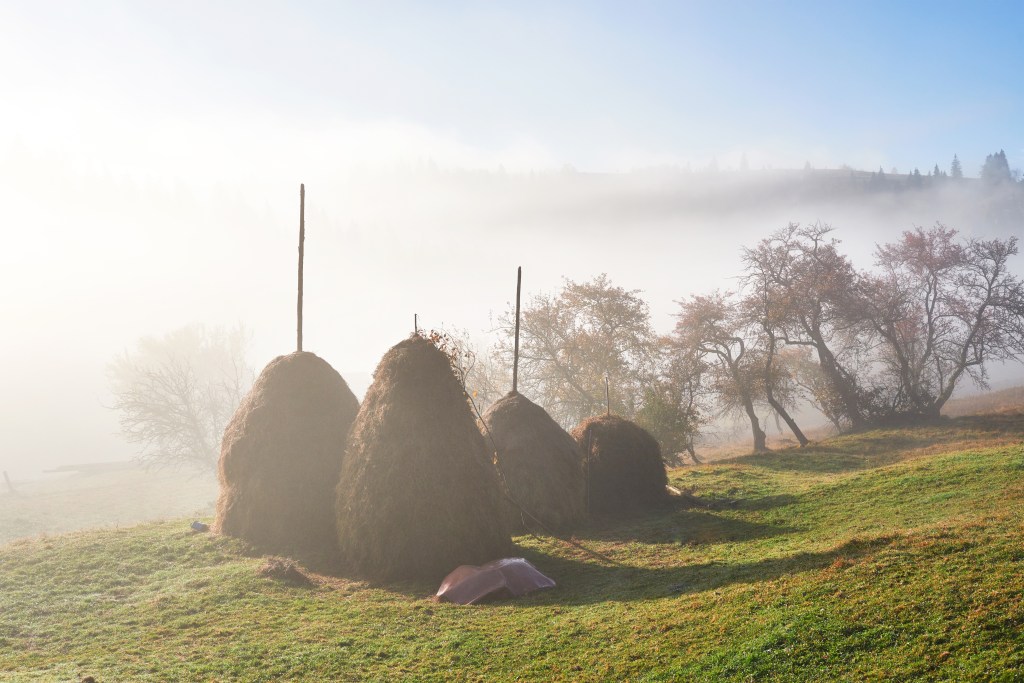 Bucovina Vibes – Snipets of why you should visit&nbsp;Romania