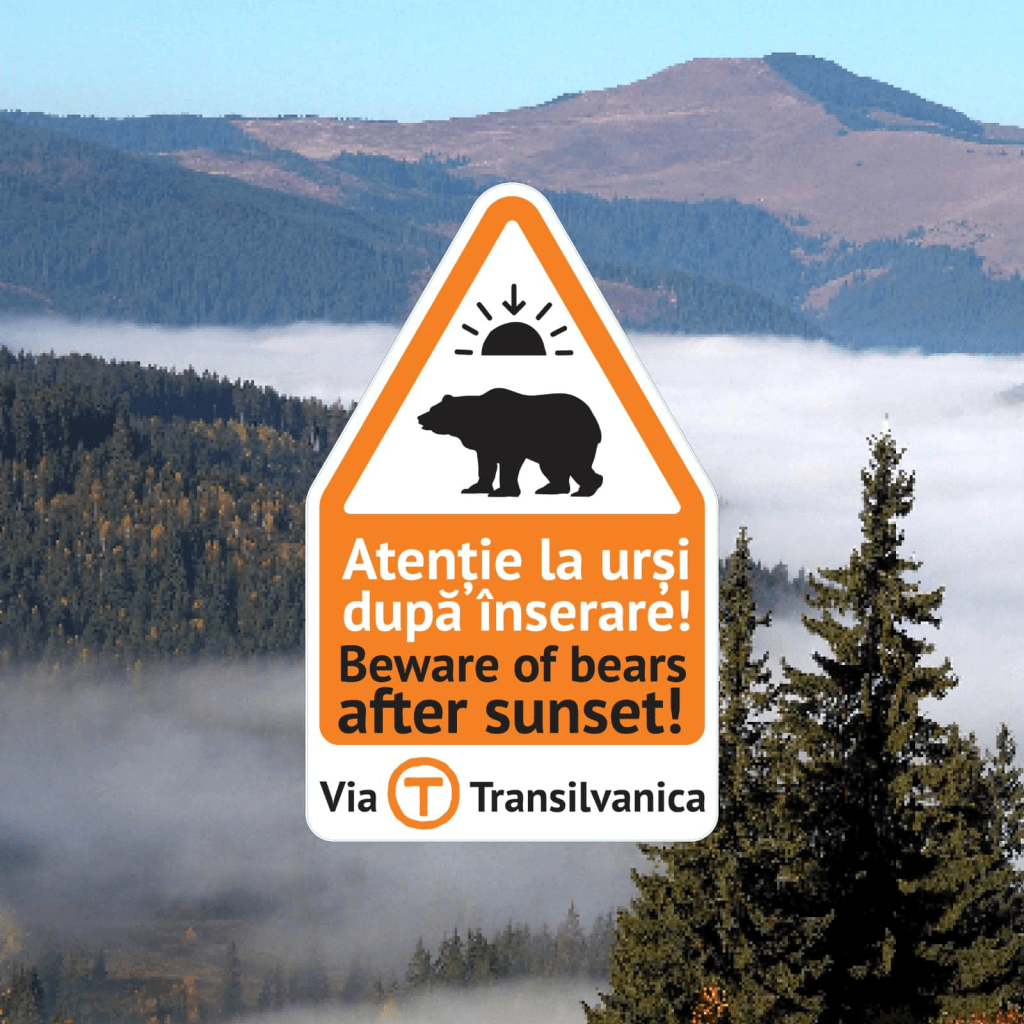 Avoiding Bears in Romania – The Dracula&nbsp;Guide