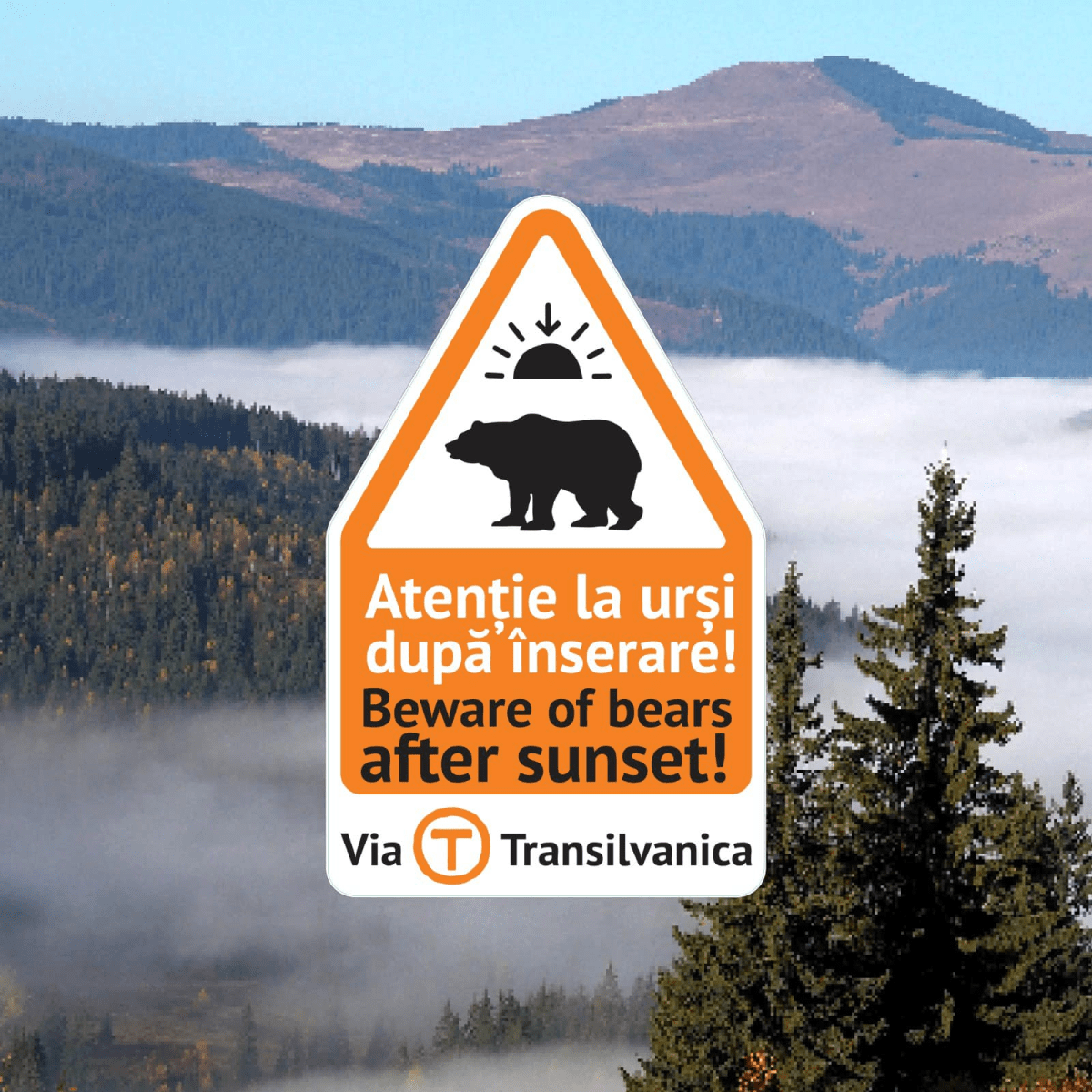 Avoiding Bears in Romania – The Dracula&nbsp;Guide