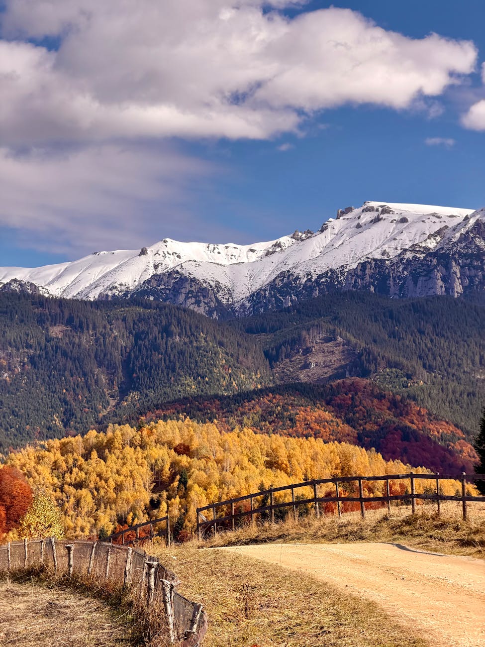 Dracula Weekly, Number&nbsp;15