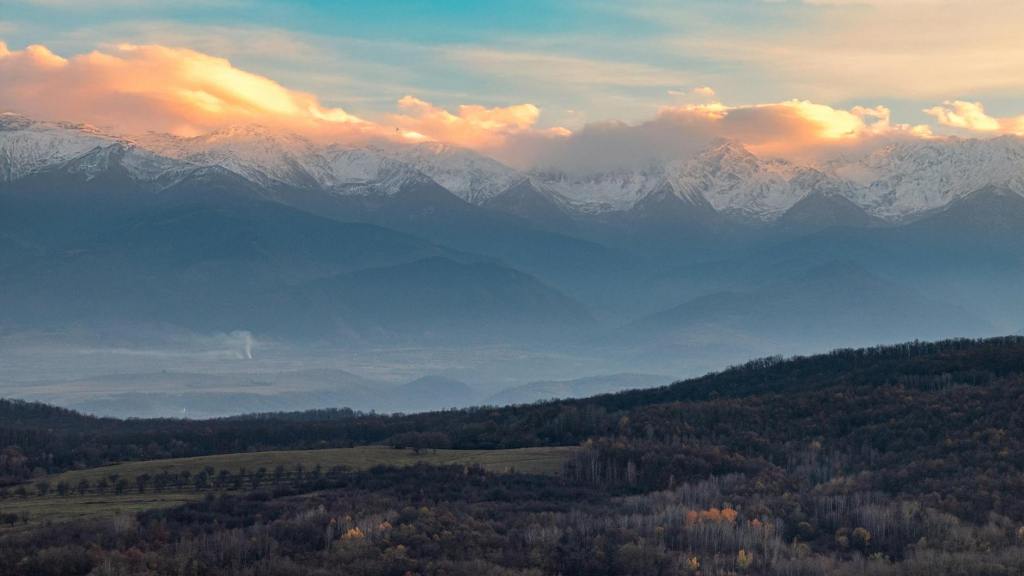 Dracula Weekly, Number&nbsp;17