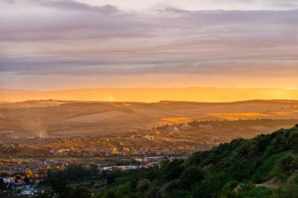 Dracula Weekly, Number&nbsp;16