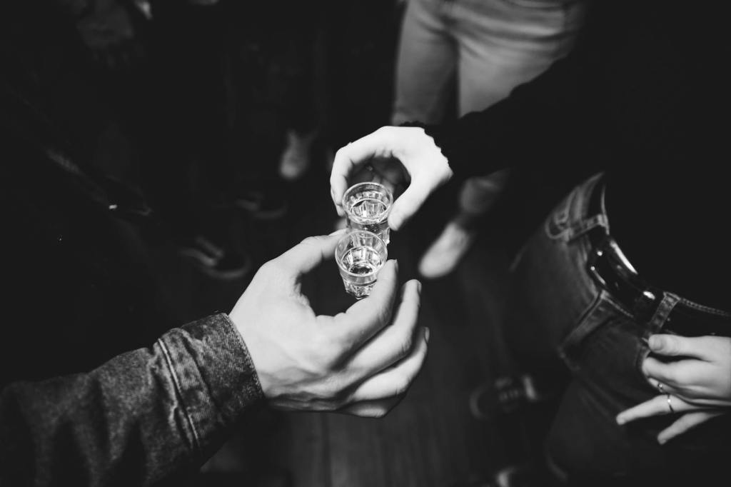 Romanian Moonshine – Pălincă, rachiu or Țuică – Homemade&nbsp;distillation